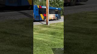 Gillig low floor bus 40 in action on route 405 [upl. by Janella]