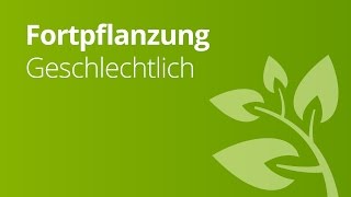 Die verschiedenen Weisen geschlechtlicher Fortpflanzung  Biologie [upl. by Teri55]