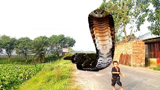 anaconda snake movie  part 21  HD video  real video   VFX ST TV [upl. by Elspet931]