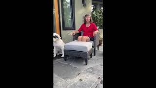 CANVAS Renfrew Chair amp Ottoman Set reviewed by Denise [upl. by Ahsan]