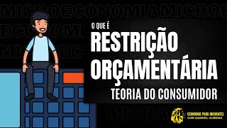 Teoria do CONSUMIDOR — Restrição ORÇAMENTÁRIA  Microeconomia [upl. by Atwahs628]