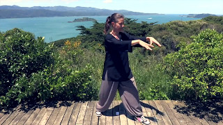 Tai Chi 5 Minutes a Day Module 01  Easy for Beginners  the Wave and Embracing the Moon [upl. by Ysied158]