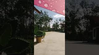 we are going to Noune Resort dimapur infinitypool shortvideo viralvideo vlog [upl. by Demy]