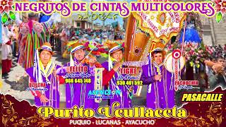 🌈 NEGRITOS de CINTAS MULTICOLORES 2024 con FELITO y TIGRE de CHIPAO 🎶 [upl. by Suiravad]