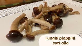 Funghi pioppini sottolio  RICETTA FACILE E VELOCE [upl. by Erin401]