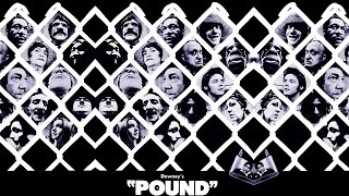 Pound 1970 directed by Robert Downey Sr 1st acting appearance of Robert Downey Jr [upl. by Llennoc83]