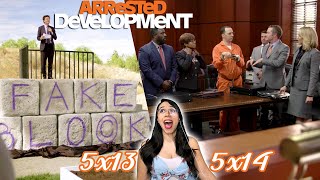 Arrested Development REACTION  5x13 amp 5x14 [upl. by Ferdinand464]