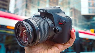 Best DSLR Cameras in 2024  Top 4 DSLRs For Photo amp Video [upl. by Lynch]