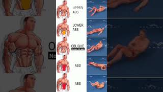 home core workout  abdominal exercises at home  sports viral [upl. by Candice]