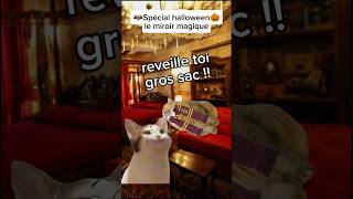 Le miroir magique meme chatdrole humour drole catmemes halloween [upl. by Bride963]