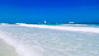 LUMMUS PARK BEACH miami beach 🏖️ [upl. by Virginie807]