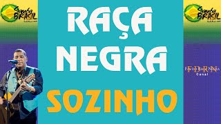 Raça Negra Sozinho Samba Brasil [upl. by Ecyla]