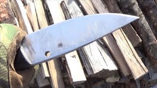 Spyderco Serrata Fixed Blade Knife Full Review [upl. by Nyloj373]