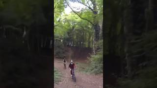 Woodland Biking Trails 🌲 woods biking jumps downhill mtb mountainbike randwickwoods [upl. by Reffinej]