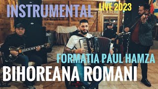 Formatia Paul Hamza⚪️Bihoreana Romani Live 2023 Puiu Ghiera🪗Samir Parna🎹Bela Vaszi 🎸Iozefin Rat🎻 [upl. by Finella925]