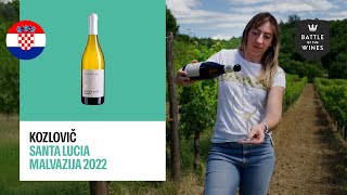 Discover Kozlović The Exquisite Croatian🇭🇷 Wine Crafted from Malvazija Istriana 🍇 [upl. by Corley]