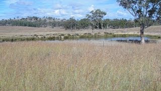 FOR SALE  quotDungorm Stationquot Gore Queensland Australia [upl. by Luke]