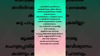 🎶🎶 Mathapithakkale song lyrics  AaveshamJithu Madhavan  Fahad Fasil  SushinShyam Nazriya Nazim [upl. by Heeley]