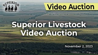 Superior Livestock Video Auction [upl. by Ecineg]