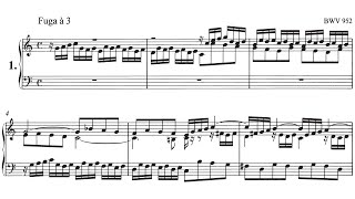 J S Bach  Fugue in C Major BWV 952 Organ [upl. by Childers]