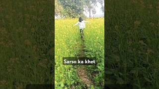 SARSO KA KHETshams ideas shorts ytshorts trending viralshort sarso sarsonkikheti [upl. by Aina]