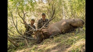 SEPTEMBER  ELK HUNTING IN IDAHO WITH JASON PHELPS amp MTN OPS [upl. by Eseneg462]