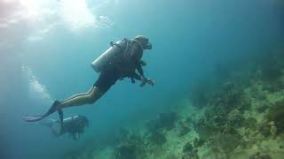 Bayahibe Diving El Penol 1 [upl. by Hyacinthe]