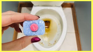 Put a Dishwasher Tablet in your Toilet Bowl amp WATCH WHAT HAPPENS 6 Genius Uses  Andrea Jean [upl. by Lay523]