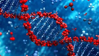 BIOMOLECULES CLASS 11  for NEET BIOLOGY [upl. by Solly]