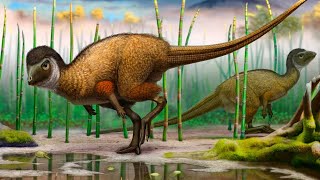 Kulindadromeus The Remarkable Feathered Ornithischian Dinosaur [upl. by Claybourne663]