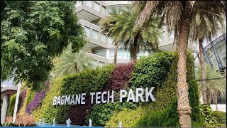 Bagmane Tech Park  Bengaluru Karnataka  Campus Full Video  by ShubhneetTiwari [upl. by Valle369]