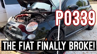 EVERY FIAT 500 OWNERS WORST NIGHTMARE  FAULT CODE P0339 Crankshaft Reluctor Ring Replacement [upl. by Anemij]