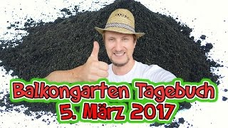 Balkongarten Tagebuch 5 März 2017  Hochbeet mit Erde befüllen [upl. by Anelys698]