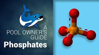 A Pool Owners Guide to Phosphates [upl. by Naahs719]