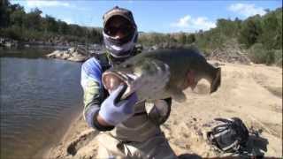 Phronetic Fishing Cod Opening Part Two two healthy Canberra Murrumbidgee Murray Cods [upl. by Primrose]