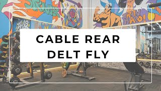 CABLE REAR DELT FLY [upl. by Pardner]