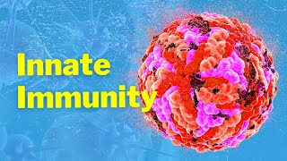 The Cells of Innate Immunity and Mechanism [upl. by Itnaihc821]