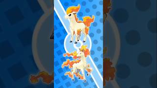 Pokedex evolusi pokemon ponyta pokemon pokedex pokemonevolution [upl. by Ain]