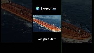 World Biggest Ship🌍 Seawise Giant🤯 shorts [upl. by Anura]