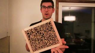 How to Make a DIY Cutter Bee House [upl. by Lluj639]