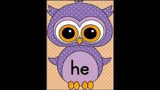 Learn 10 Dolch Primer Sight Words with Light Purple Owl Theme Set 1  Fall Sight Word Practice K2 [upl. by Nytsyrk327]