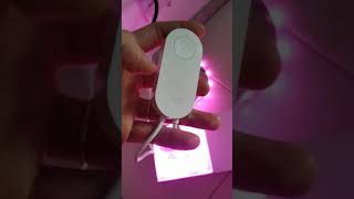 Fita De Led Wifi Rgb Yeelight  Xiaomi Shorts [upl. by Eenal]