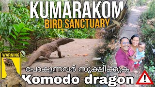 Kumarakom Bird Sanctuary  പതിയിരിക്കുന്ന അപകടം 😱 Trekking Destination  kumarakom Tourist Places [upl. by Irfan782]