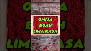 quotMengenal Buah Omija Si Lima Rasa dari Koreaquot feedshorts [upl. by Nezah]