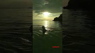 Sta Fe Bantayan Island sunset travel nature bantayanisland reels [upl. by Nohtiek390]