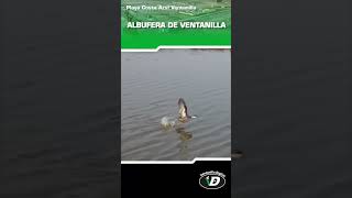 Albufera de Ventanilla [upl. by Lamberto]