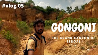 Gangani Grand Canyon of Bengal  gongoni tourist spot gangani tourist spot gangani west bengal [upl. by Ennaus]