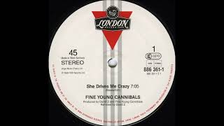 Fine Young Cannibals  She drives me crazy [upl. by Lillith]