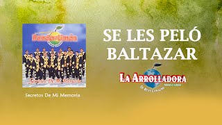 La Arrolladora Banda El Limón De René Camacho  Se Les Pelo Baltazar Lyric Video [upl. by Yaeger]