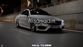 Sibel Bilgiç  Dayanamam Ben Bu Son Gidişine  Halil Yıldırım Remix  Kanun [upl. by Airtemad]